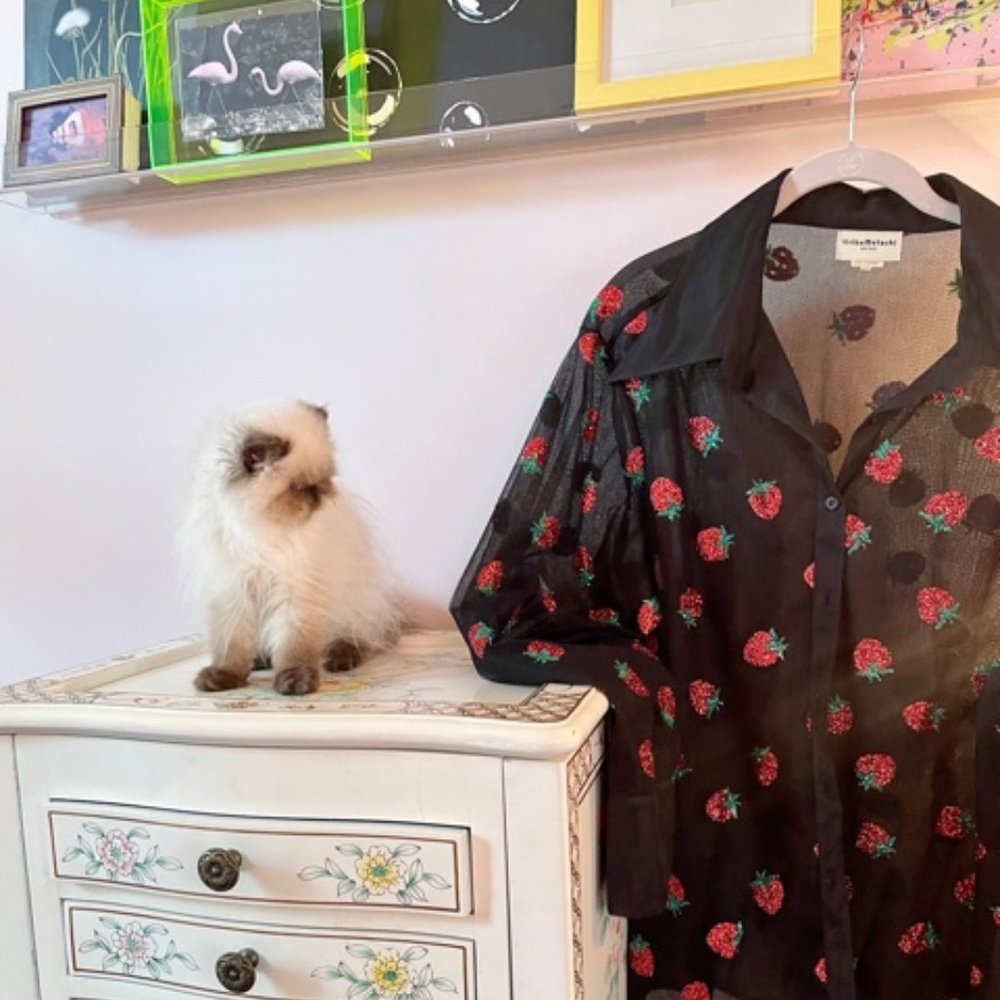Ricotta and Strawberries - Authentic Lirika Matoshi Blouse!